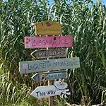 La Casetta Di Marzapane Casa-natura Apartman Senigallia
