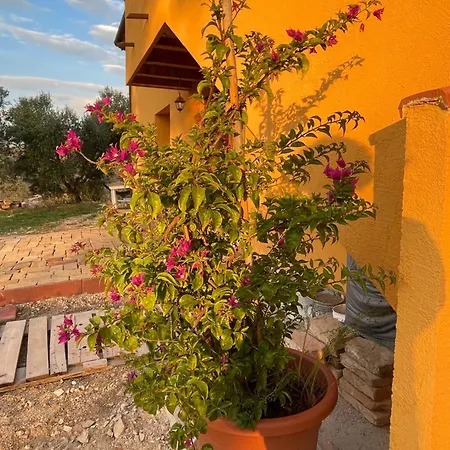 La Casetta Di Marzapane Casa-natura Senigallia
