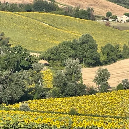 La Casetta Di Marzapane Casa-natura Apartament *