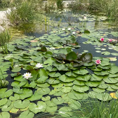 La Casetta Di Marzapane Casa-natura Apartmán Senigallia
