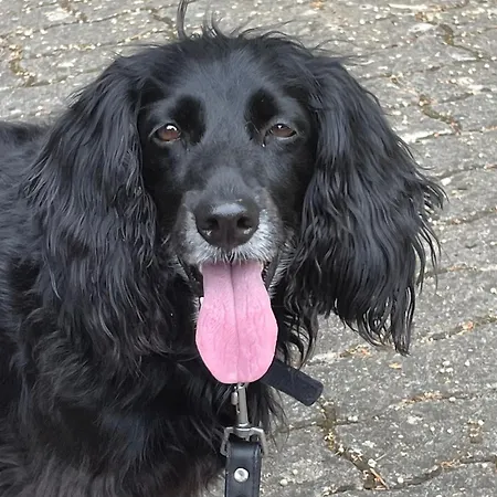 La Casetta Di Marzapane Casa-natura Apartament Senigallia