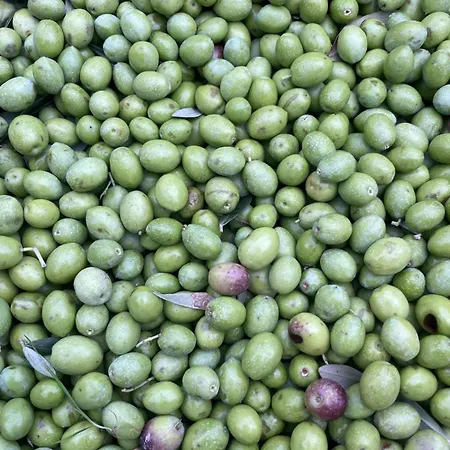 Apartmán La Casetta Di Marzapane Casa-natura