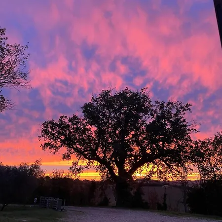 公寓 La Casetta Di Marzapane Casa-natura