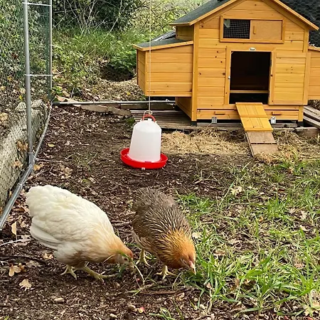 La Casetta Di Marzapane Casa-natura Senigallia