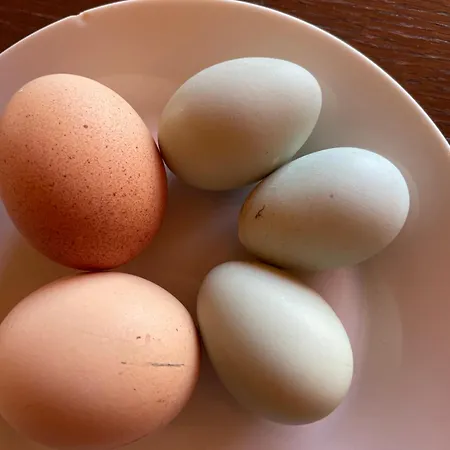 La Casetta Di Marzapane Casa-natura *