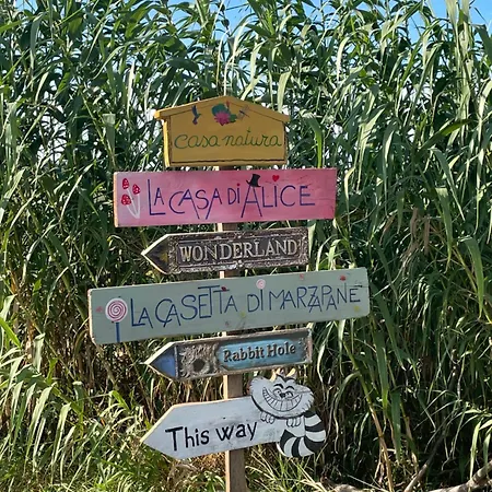 La Casetta Di Marzapane Casa-natura 公寓 西尼加利亚