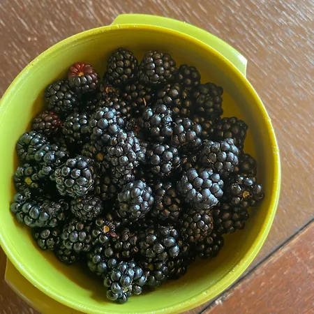 La Casetta Di Marzapane Casa-natura Apartament