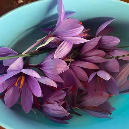 La Casetta Di Marzapane Casa-natura