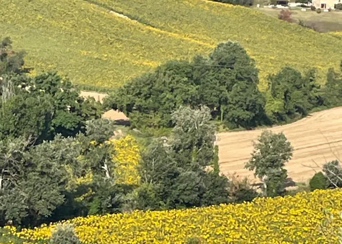 La Casetta Di Marzapane Casa-natura Apartment *