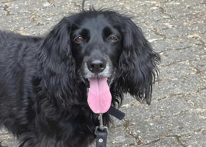 La Casetta Di Marzapane Casa-natura Apartment Senigallia