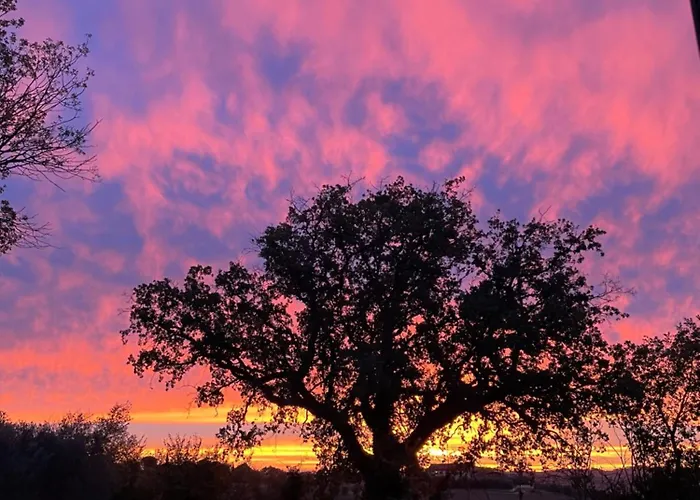 Apartment La Casetta Di Marzapane Casa-natura