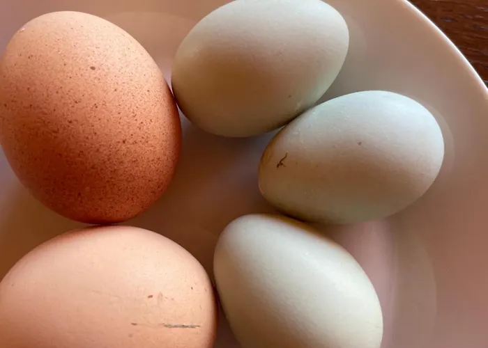 La Casetta Di Marzapane Casa-natura *